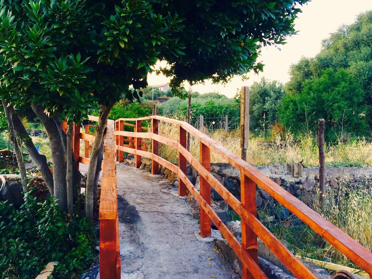 Agriturismo Biologico Corte Aragonese Santa Maria di Licodia Ngoại thất bức ảnh